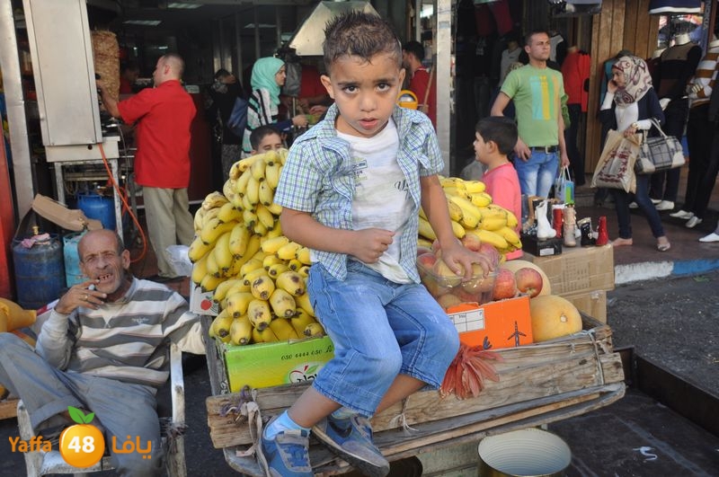 qalqelia soog (19).JPG